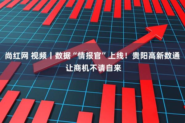 尚红网 视频丨数据“情报官”上线！贵阳高新数通 让商机不请自来